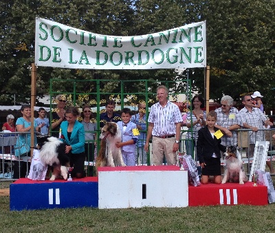 Autana's Dream - SORGES 01/09/13 Daniel 1ere Jeune Presentateur 1st Young Handler